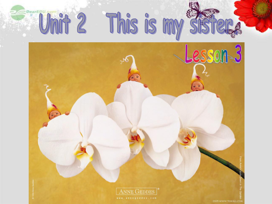 七年级英语上册《Unit 2 This is my sisterLesson 3》课件（2） （新版）人教新目标版_第1页