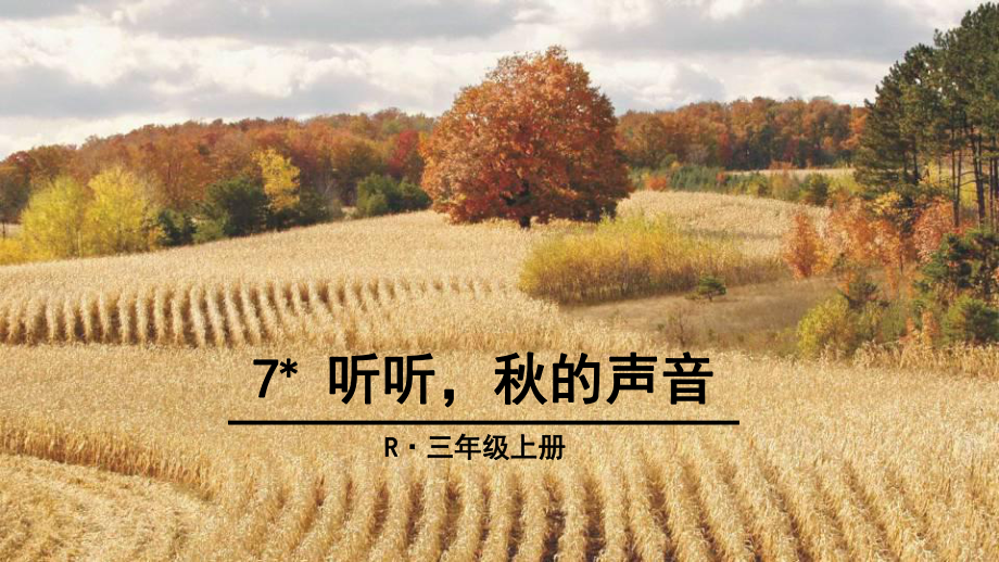 三年級(jí)上冊(cè)語文課件7 聽聽的聲音 人教部編版(共22張PPT)教學(xué)文檔_第1頁(yè)