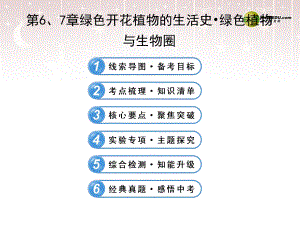 【全程復(fù)習(xí)方略】中考生物 第6、7章 綠色開花植物的生活史 綠色植物與生物圈配套課件 北師大版