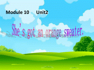 三年级下册英语课件Module 10Unit 2 She’s got an orange sweater∣外研版三起 (共14张PPT)