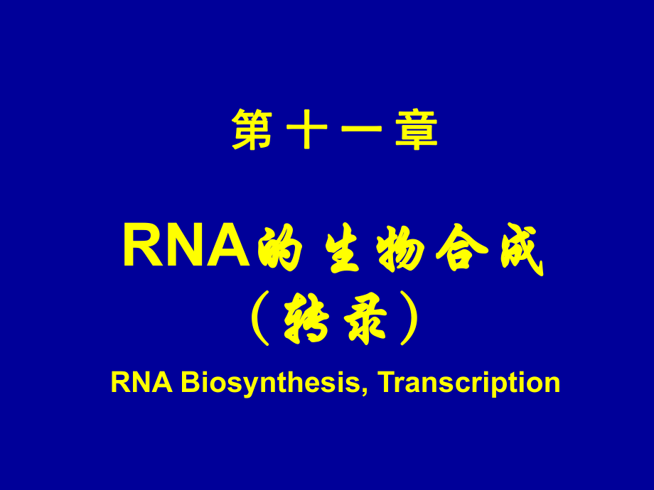 生物化學(xué)：11 RNA的生物合成_第1頁