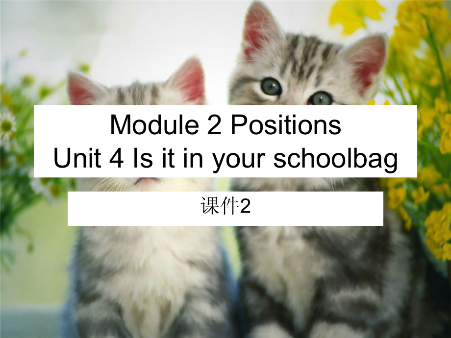 三年級(jí)下冊(cè)英語(yǔ)課件Module 2 Positions Unit 4 Is it in your schoolbag 2教科版廣州深圳_第1頁(yè)