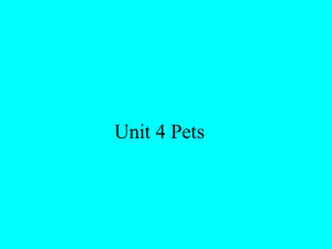 三年級上冊英語課件Unit 4 Pets 2人教新起點