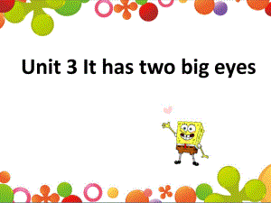 三年级上册英语课件Unit 3 It has two big eyes——词汇湘鲁版 (共11张PPT)