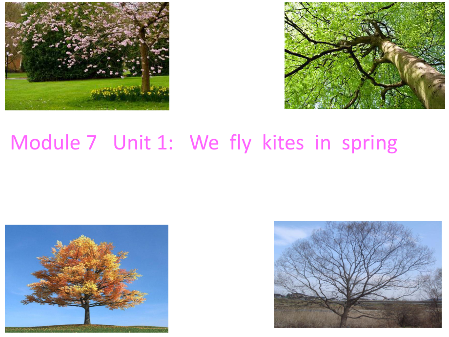 三年級下冊英語課件Module 7 Unit 1 We fly kites in spring∣外研版三起 (共23張PPT)_第1頁