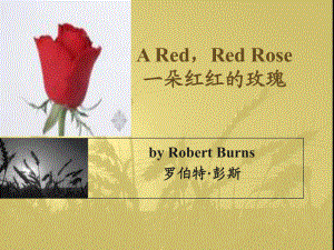 【精品课件教案ppt】 a red,red rose一朵红红的玫瑰