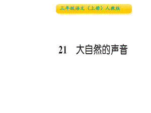 三年级上册语文习题课件21 大自然的声音∣人教部编版 (共13张PPT)教学文档