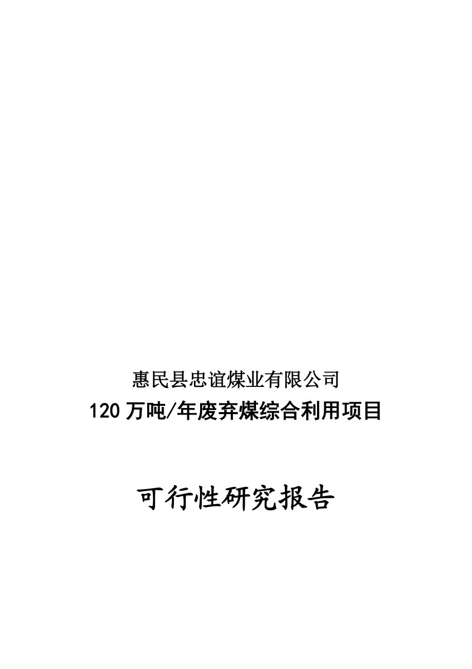 万吨废弃煤综合利用项目可研报告_第1页