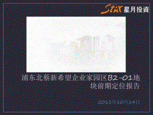 上海浦东北蔡新希望企业家园区B201地块前期定位报告（优劣分析版）49p