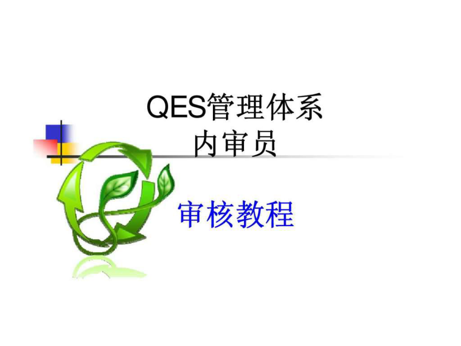 QES管理体系内审员审核教程_第1页