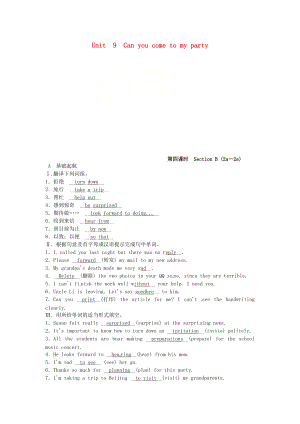 八年級(jí)英語(yǔ)上冊(cè) Unit 9 Can you come to my party第4課時(shí)Section B2a2e同步測(cè)試 新版人教新目標(biāo)版