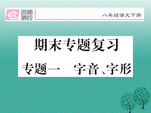 八年級(jí)語文下冊 專題復(fù)習(xí)一 字音、字形課件 新版新人教版