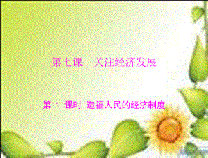 人教版思品九年級(jí)第七課關(guān)注經(jīng)濟(jì)發(fā)展第1課時(shí)《造福人民的經(jīng)濟(jì)制度》課件