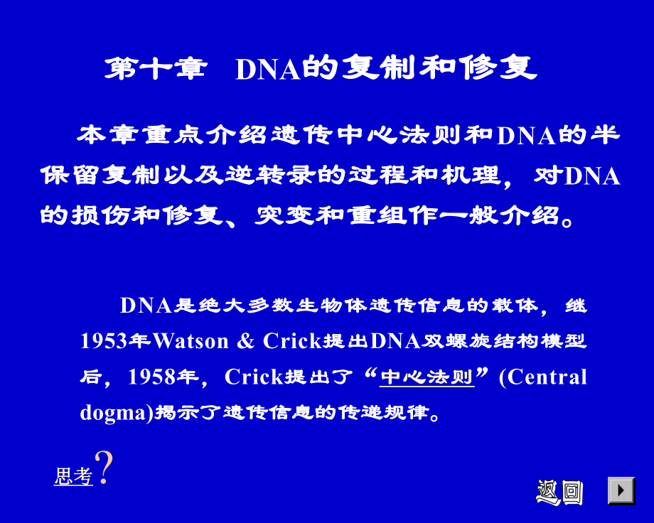 生物化學(xué)：第十章 DNA的復(fù)制和修復(fù)_第1頁