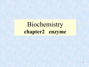 生物化学酶的本质和组成
