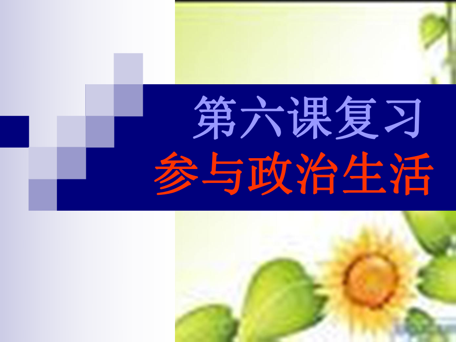 人教版思品九年級(jí)第六課參與政治生活復(fù)習(xí)課件_第1頁(yè)