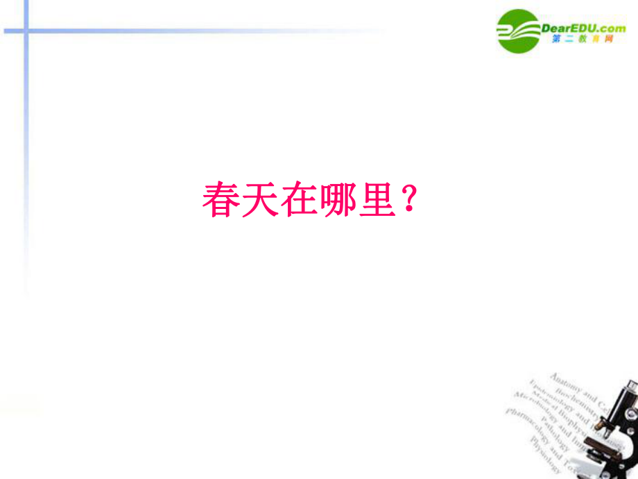 浙教版小學品德與社會（生活）《快樂的游》課件.ppt_第1頁