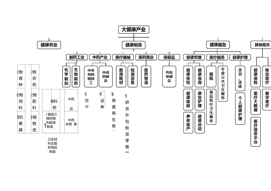 大健康产业链图谱图片