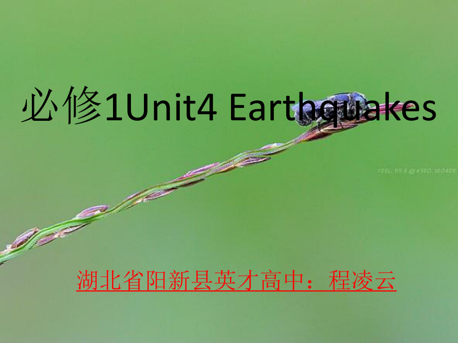 英語必修1 UNIT4 EARTHQUAKES詞匯總結(jié)課件(新人教版)PPT課件_第1頁