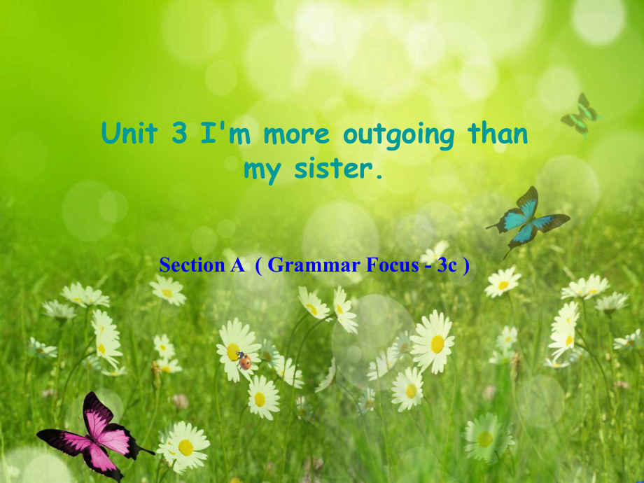 遼寧省東港市黑溝中學八年級英語上冊 Unit 3 I'm more outgoing than my sister Section A（Grammar Focus3c）課件 （新版）人教新目標版_第1頁