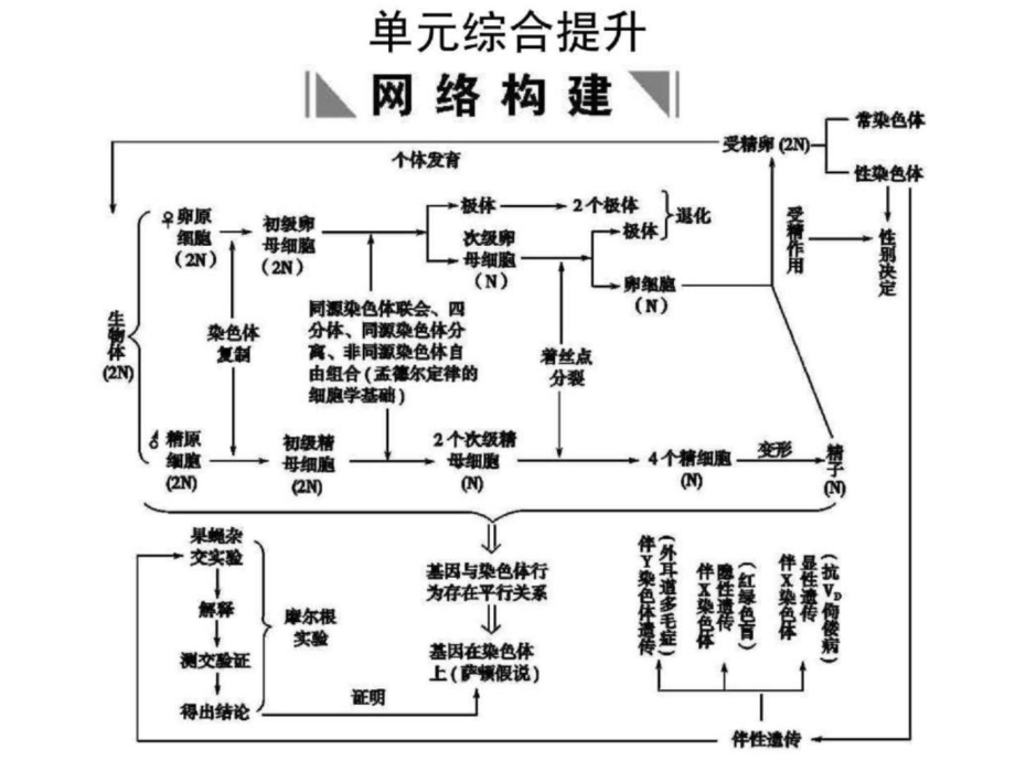 高中生物课件必修22单元综合提升_第1页