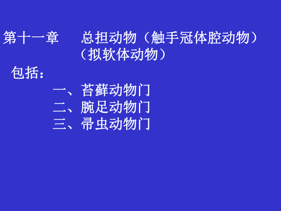 11苔藓动物门腕足动物门箒虫动物门_第1页