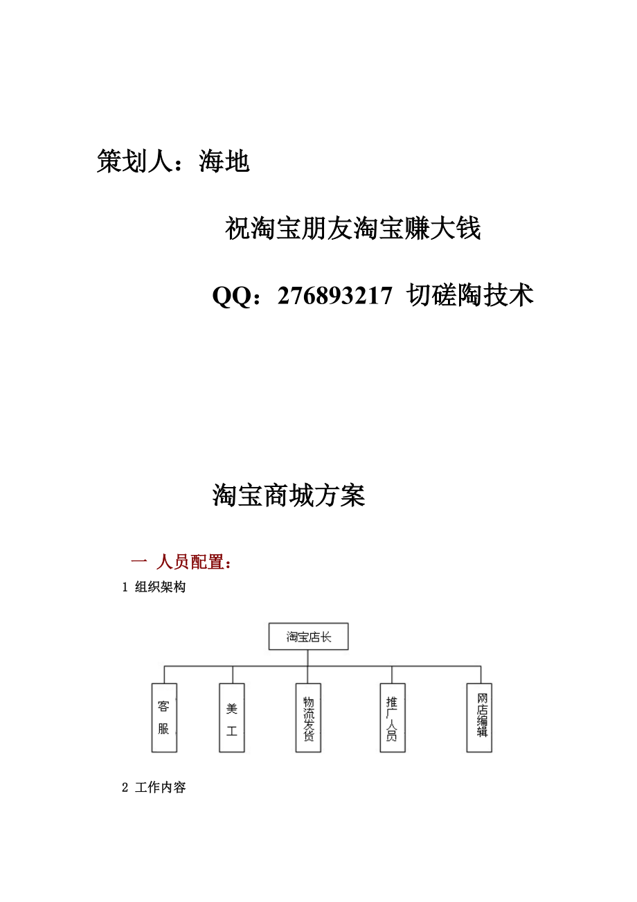 淘宝商城运营细节方案_第1页