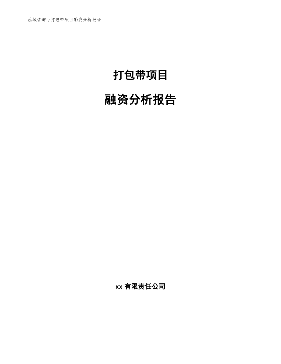 打包带项目融资分析报告【模板范文】_第1页