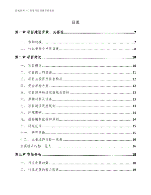 打包带项目招商引资报告【模板参考】