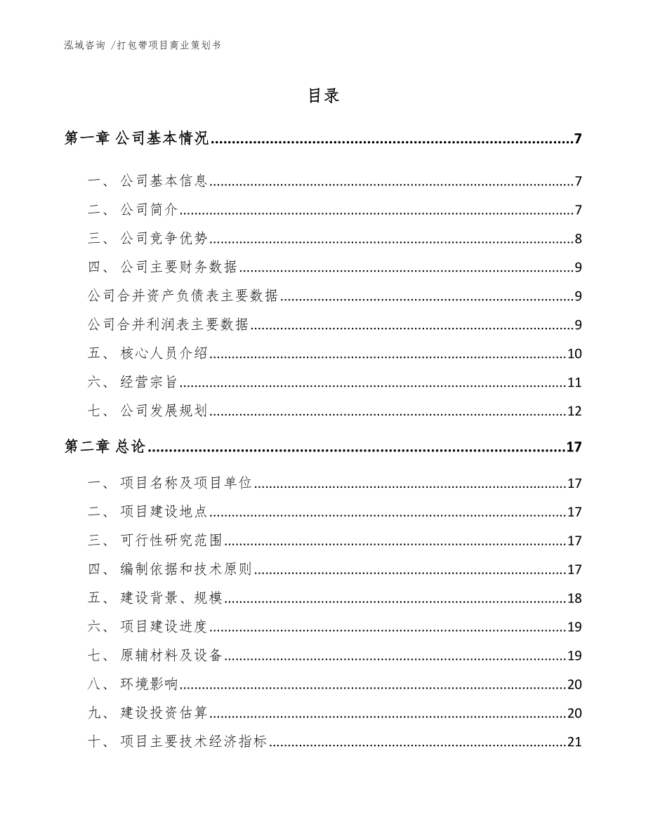 打包带项目商业策划书【模板范本】_第1页