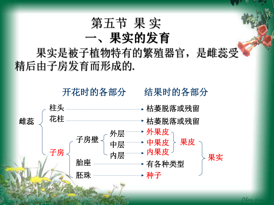 药用植物学：第三章第五、六节果实种子课件_第1页