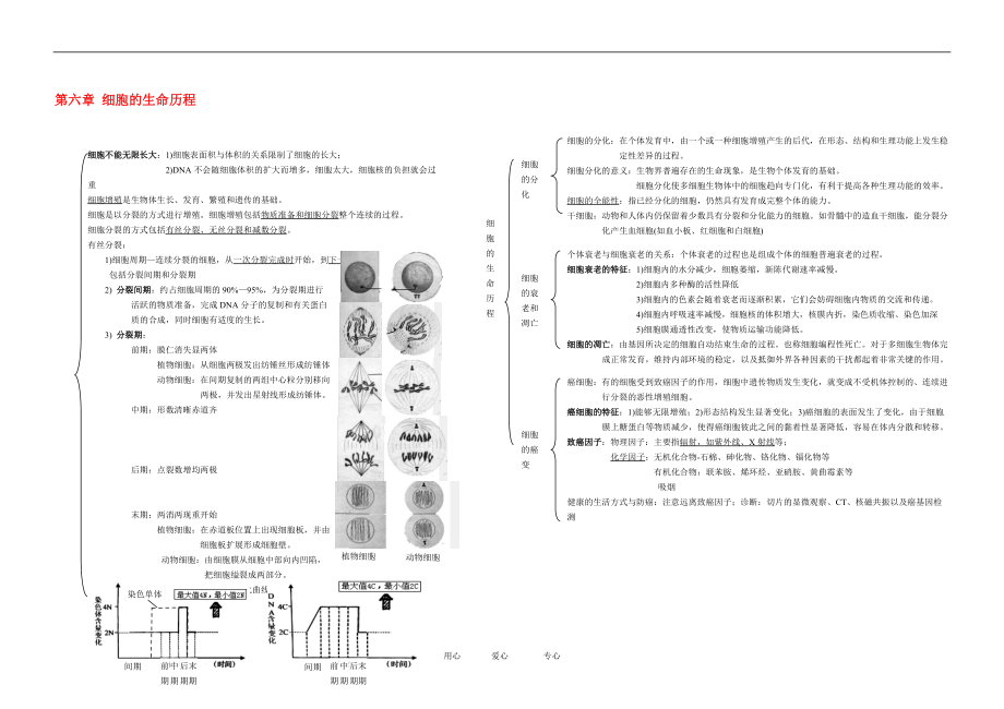 高中生物：《第六章 細(xì)胞的生命歷程》知識(shí)框架（新人教版必修1）_第1頁(yè)