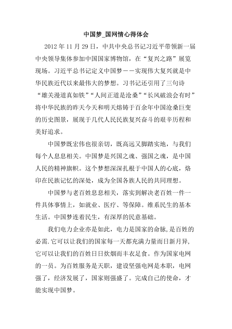中国梦国网情心得体会_第1页