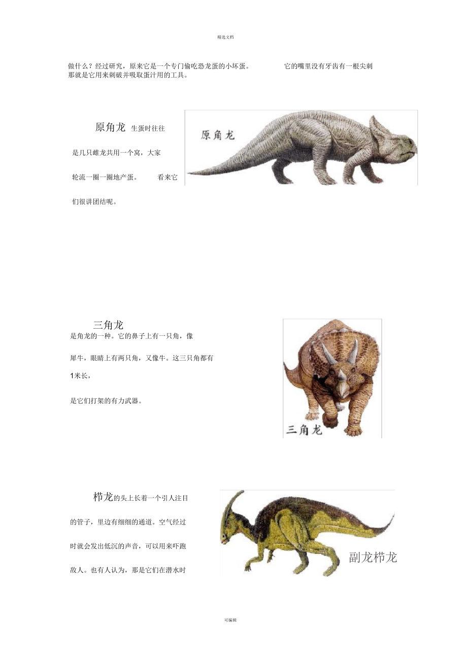 各种恐龙资料简介图片