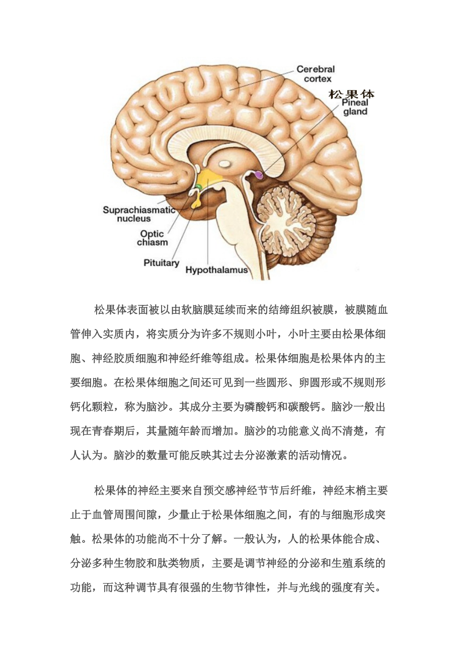 开启松果体的巨大危害图片