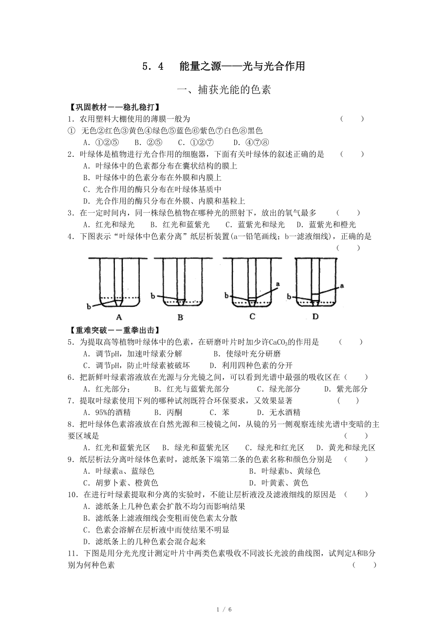 能量之源──光與光合作用 練習(xí)_第1頁