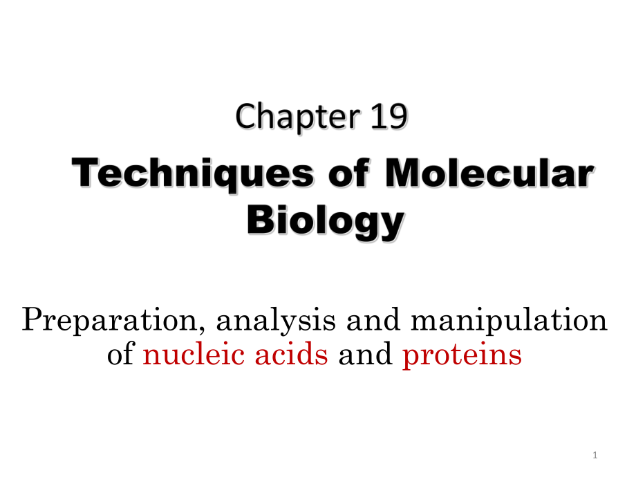 分子生物学教学课件：chapter 19Techniques of Molecular Biology_第1页