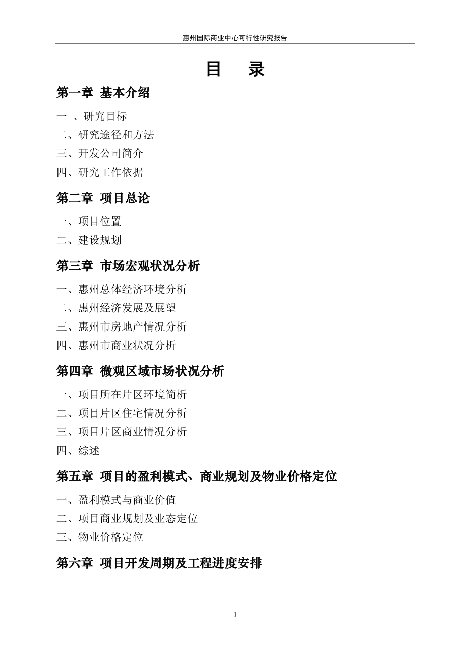 惠州国际商业中心可行性研究报告45p_第1页