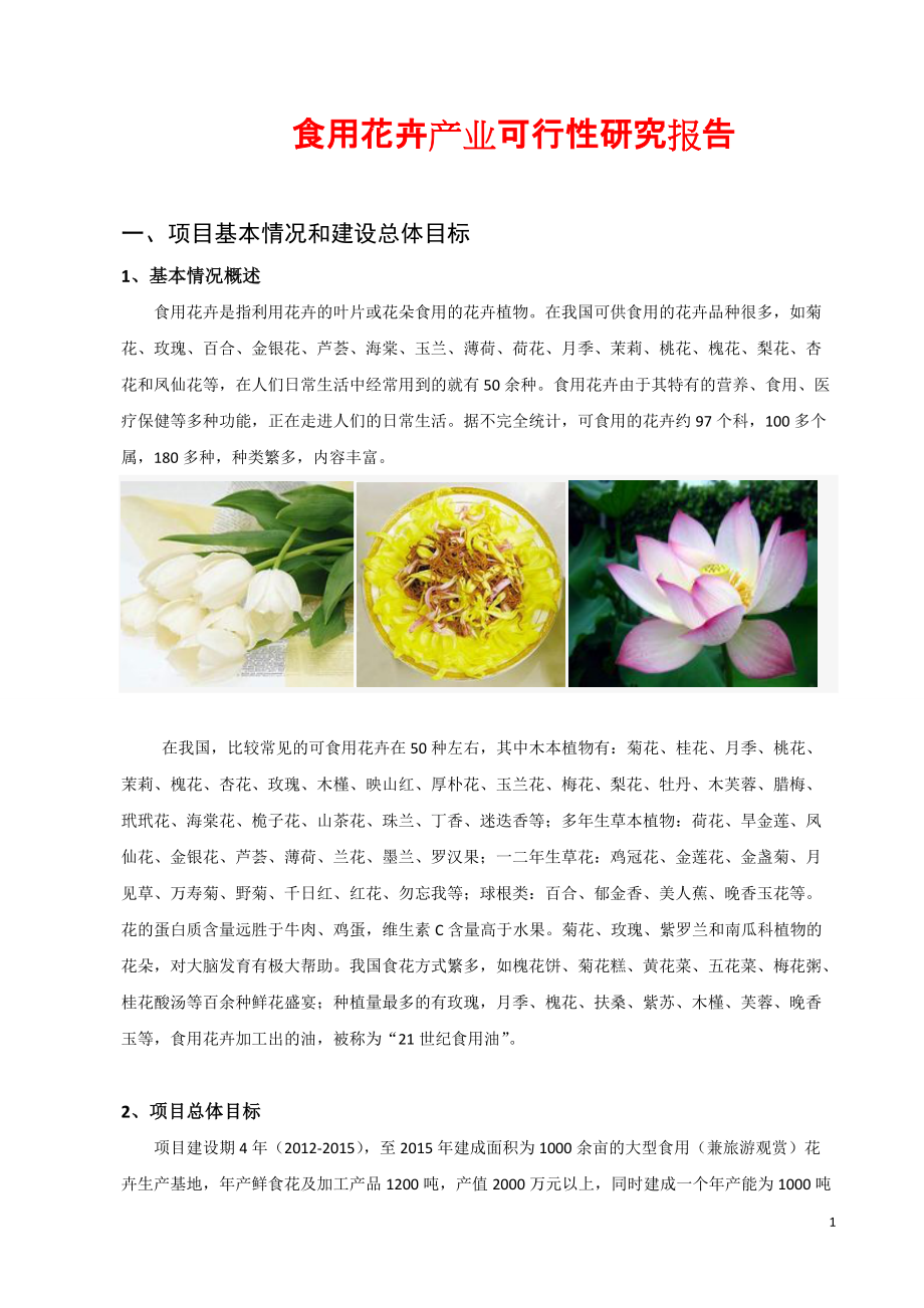食用花卉项目可研报告_第1页