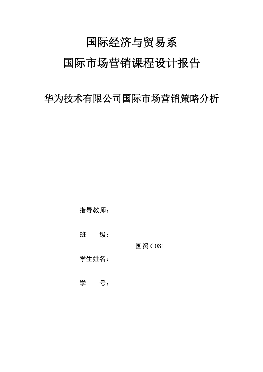 国际市场营销课程设计报告市场营销策略分析_第1页