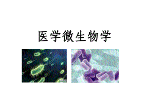 7微生物學(xué)緒論和細菌生物學(xué)性狀 基礎(chǔ)醫(yī)學(xué)概論