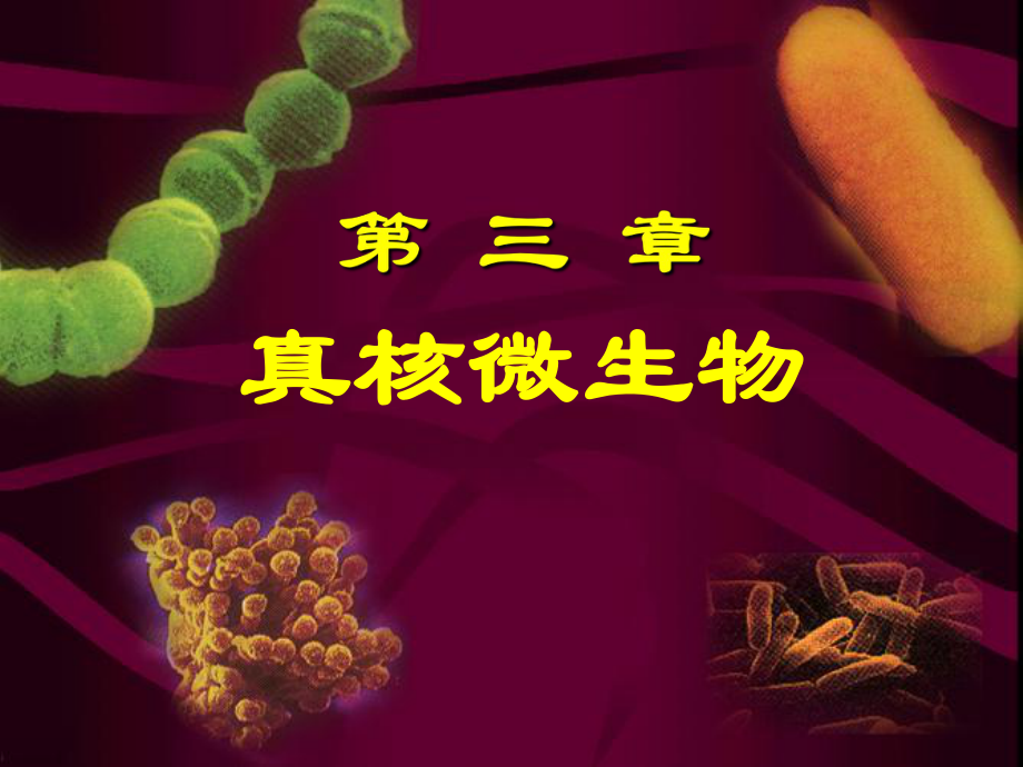 環(huán)境工程微生物學(xué)：第三章 真核微生物 (2)_第1頁