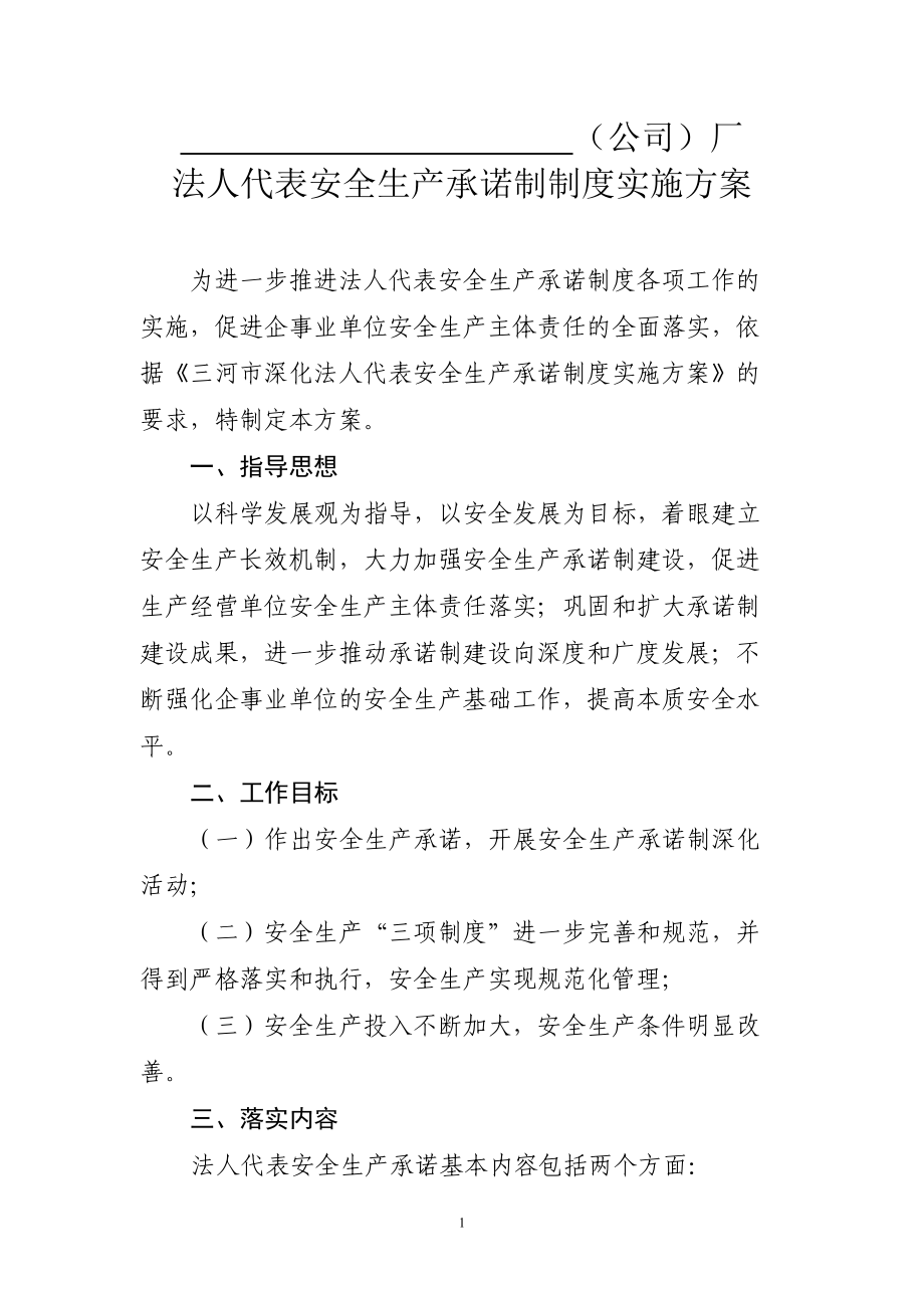 公司法人代表承诺落实方案_第1页