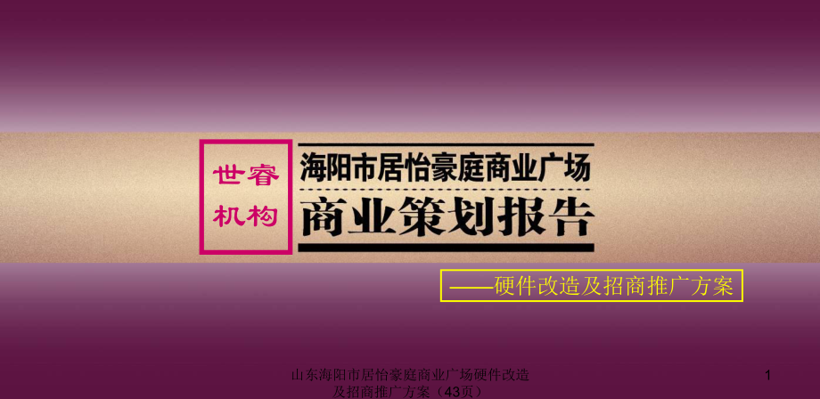 山东海阳市居怡豪庭商业广场硬件改造及招商推广方案43页课件_第1页