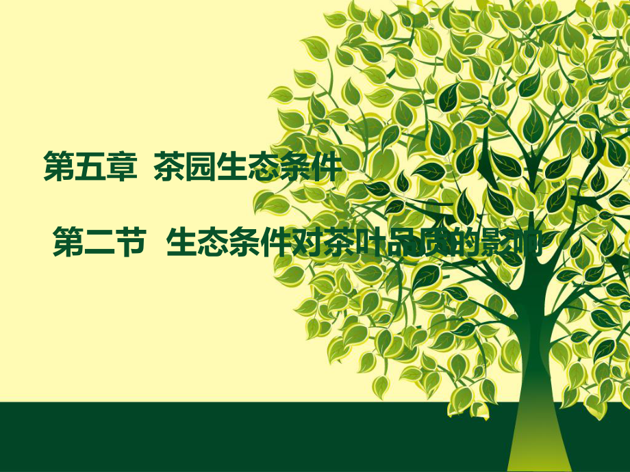 茶树栽培学课件第五章茶叶品质与生态条_第1页