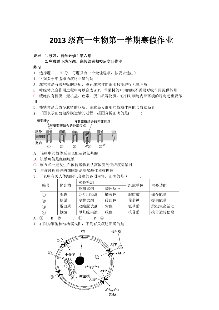 2013级高一生物第一学期寒假作业Word版_第1页