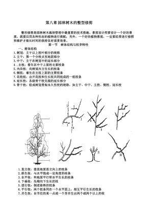 [农学]树木栽培学教案第8章整型修剪