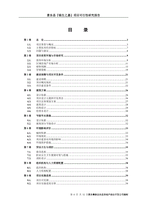 景东县银生之嘉项目可行性研究报告（房地产项目）