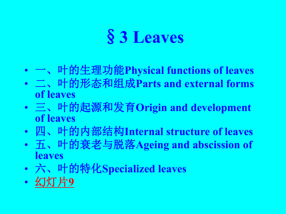 植物学课件：叶的生理功能_第1页