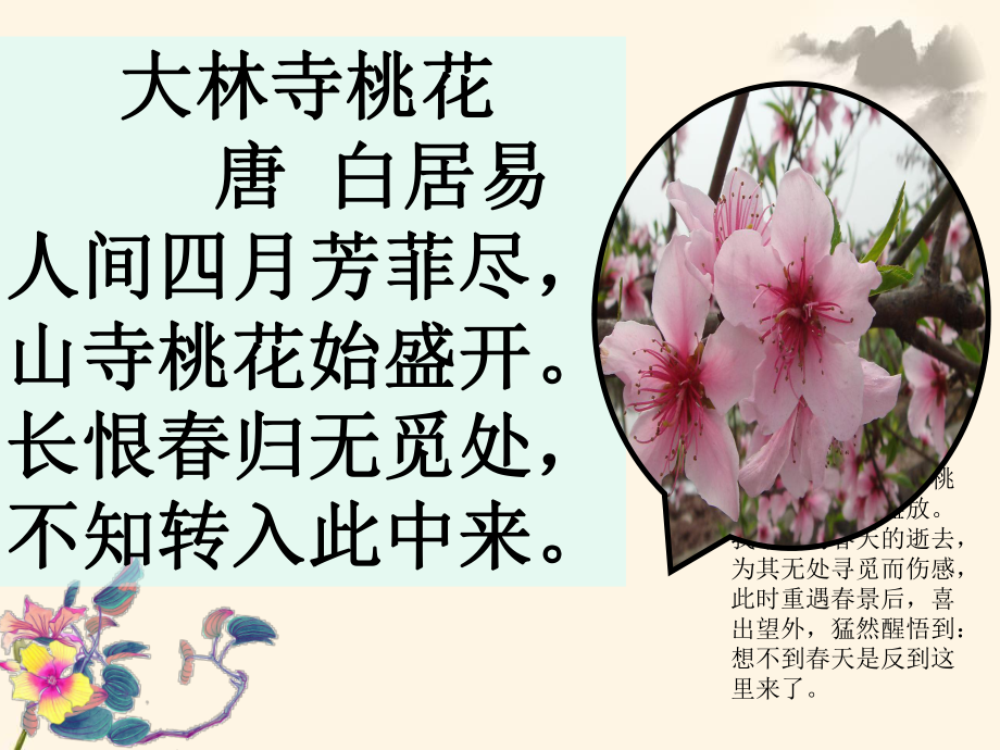 1891鄂教版三上語文山茶花周俊凡_第1頁